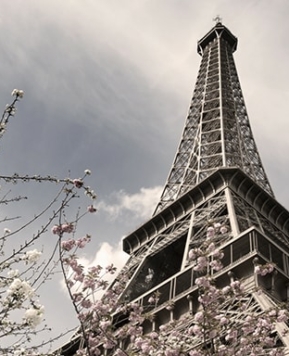 Slideshow Post Type With Blockquote  and Intro