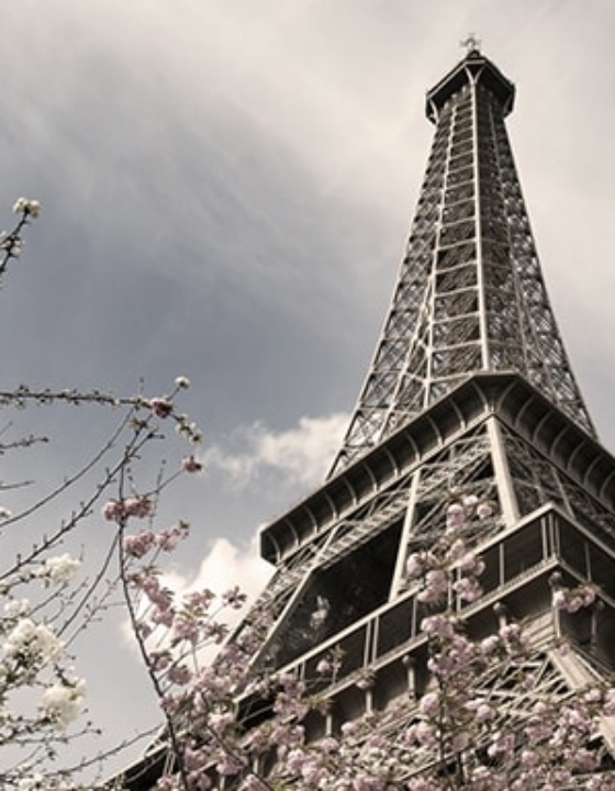 Slideshow Post Type With Blockquote  and Intro